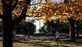 El clima en Rosario: otoño con olor a lluvia