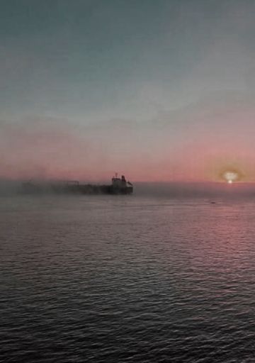 El polizón y el capitán. Capítulo II: la confesión