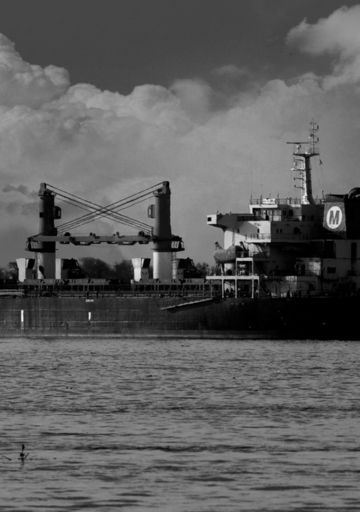 El polizón y el capitán. Capítulo III: hombre al agua