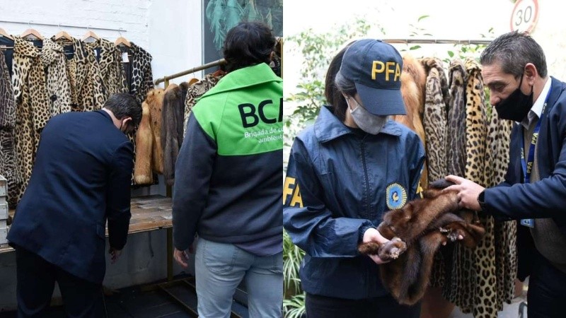 Cabe destacar que la comercialización de este tipo de productos debe contar con documentos que acrediten el legal origen y el tránsito hasta el lugar de venta.