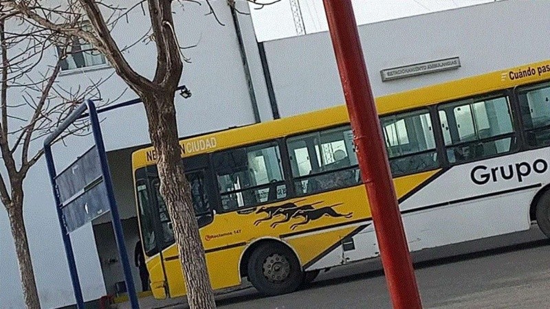 El hecho ocurrió el pasado viernes en Neuquén.