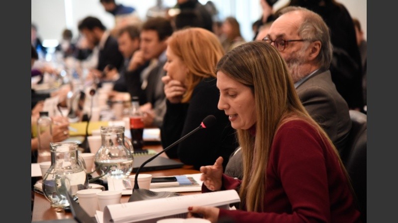 Lospenatto presidió la reunión. 