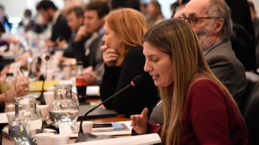 Lospenatto presidió la reunión.