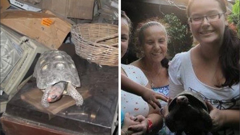 La valiente tortuga es en realidad macho y ahora se llama Manuel.