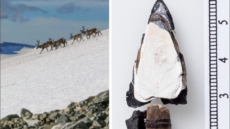 El cambio climático permitió el desarrollo de un nuevo campo de investigación.