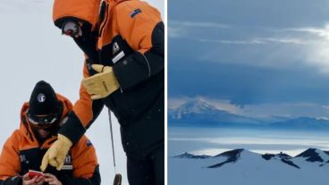 Los científicos identificaron 13 tipos de plástico diferentes.