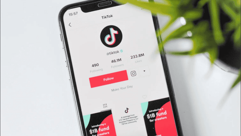 La aplicación de videos cortos tuvo un crecimiento exponencial durante los últimos dos años.
