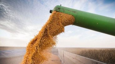 La familia Ondarcuhu, que controla las terminales VI y VII de Pueto Rosario, quiere crecer en el negocio cerealista.