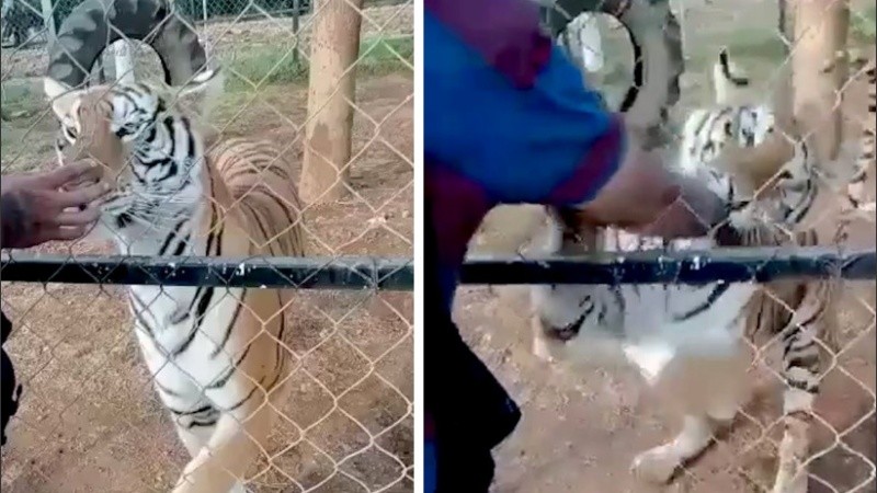 Los médicos sugirieron amputarle el brazo, no quiso y murió.