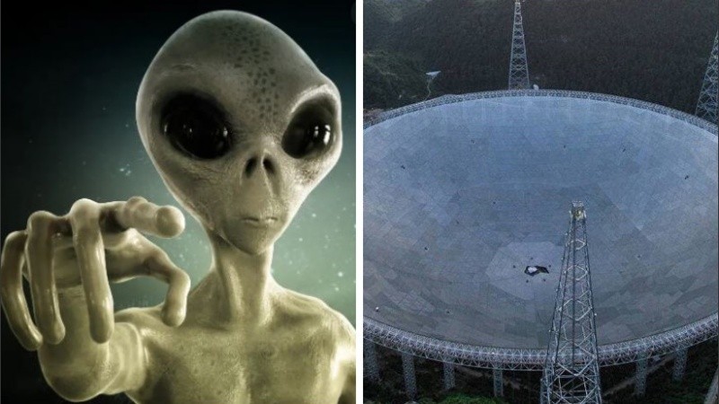 Desde 2019 el aparato detecta algunos casos similares.