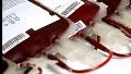 Aseguran que los bancos de sangre van recuperando los niveles prepandémicos en Argentina
