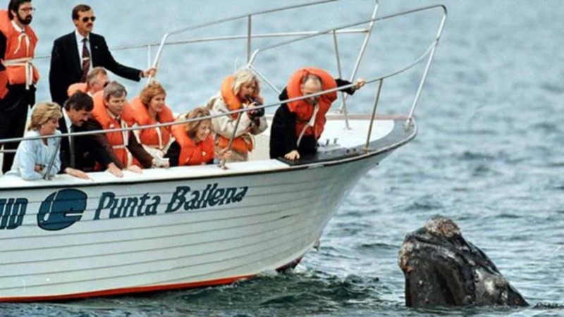 En su visita a Argentina, Lady Di (en celeste) realizó un avistaje de ballenas.