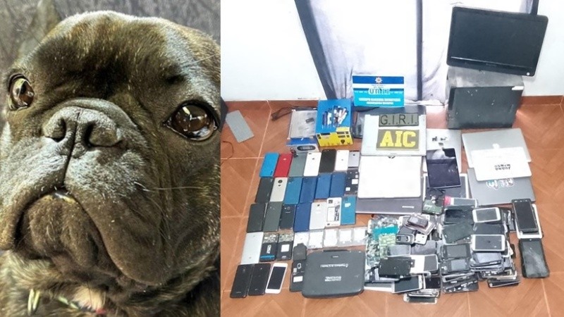 La perrita robada en el centro de la ciudad y los elementos secuestrados a los acusados.