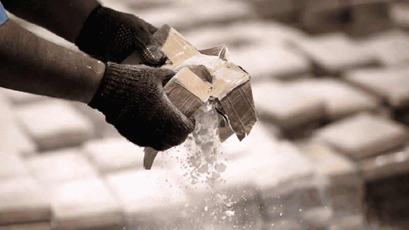 En Sudamérica se cultiva la mayor parte de la planta que se usa de base para la droga. 