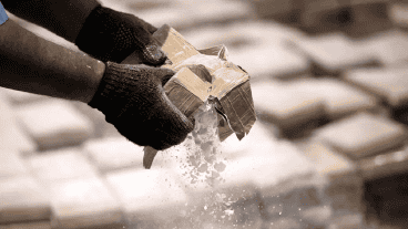 En Sudamérica se cultiva la mayor parte de la planta que se usa de base para la droga.