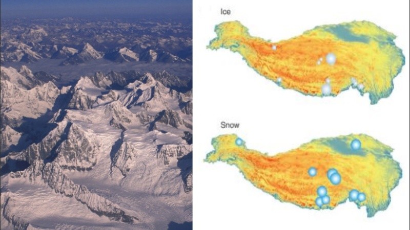  Los microorganismos pueden ser portadores de nuevos factores de virulencia.