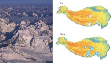 Los microorganismos pueden ser portadores de nuevos factores de virulencia.