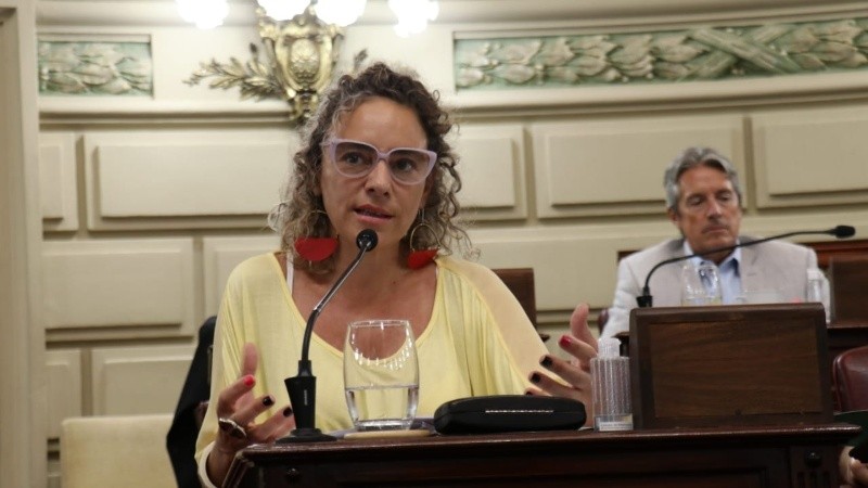 Mónica Peralta, diputada provincial autora de la iniciativa.