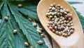Cannabis: el Gobierno legalizó la compra de semillas para cultivo con fines de investigación y medicinales