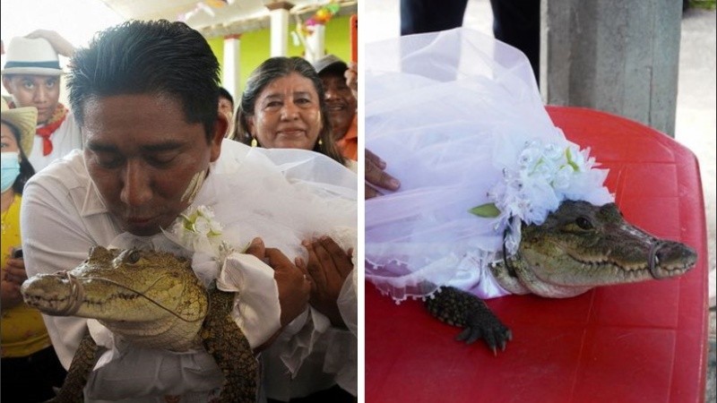 Se cree que el reptil de siete años es una deidad que representa a la madre Tierra.