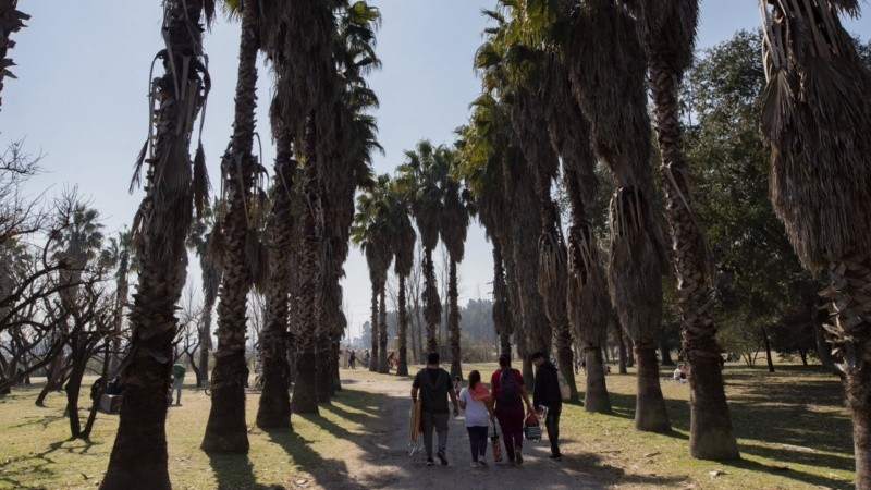 Las recorridas se realizarán los sábados, martes y jueves. 