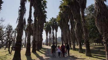 Las recorridas se realizarán los sábados, martes y jueves.