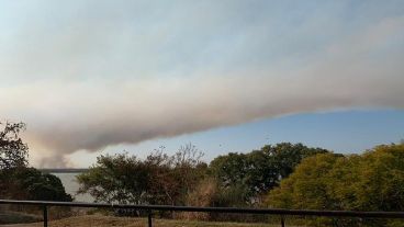 Una chica compartió una imagen de la tarde desde uno de los parques del área central de Rosario.