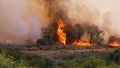 Incendios en las islas, toda una metáfora de la Argentina