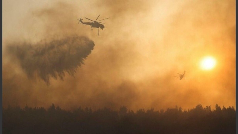 Los incendios arrasaron 130 mil hectáreas el año pasado. 