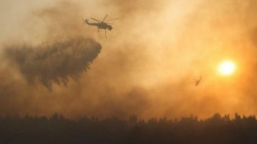 Los incendios arrasaron 130 mil hectáreas el año pasado.