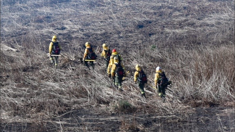 El Ministerio de Ambiente destacó que los Faros arrojan datos precisos de los incendios.