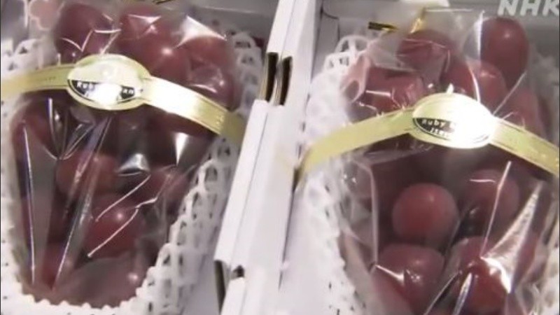 La variedad Ruby Roman se vende desde el 2008.