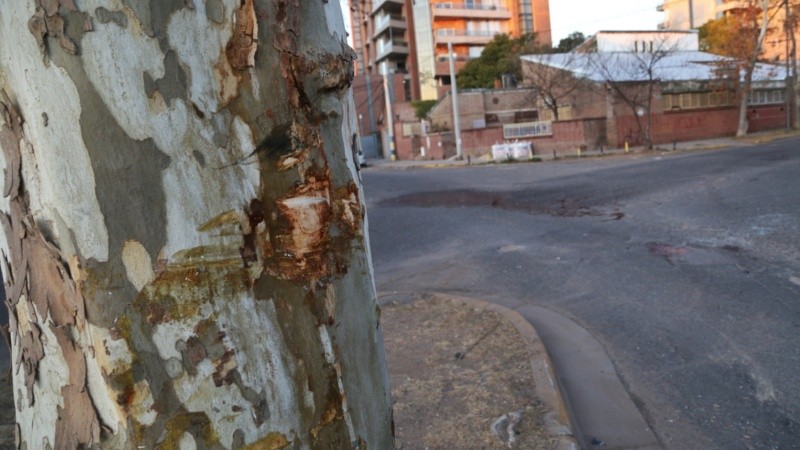 El rastro del siniestro en el Parque Alem.