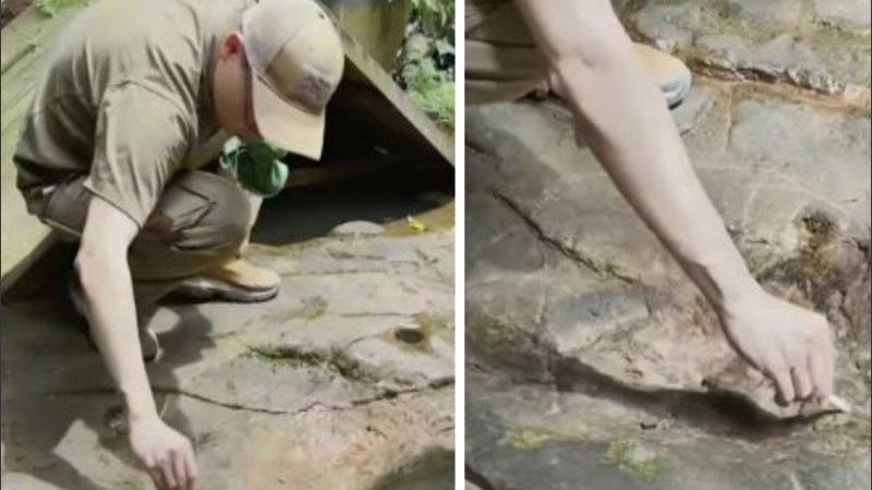Antes de convertirse en un restaurante, en el lugar funcionaba una granja de pollos.