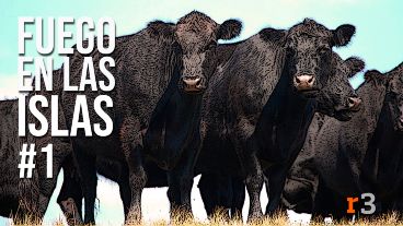 Episodio 1 de una serie de tres para Desde la redacción.