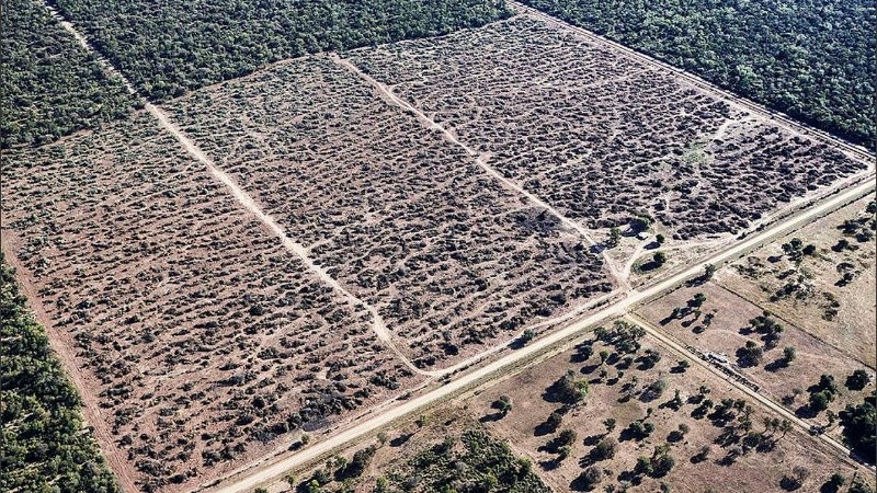 El Gran Chaco, uno de los principales frentes de deforestación del país.