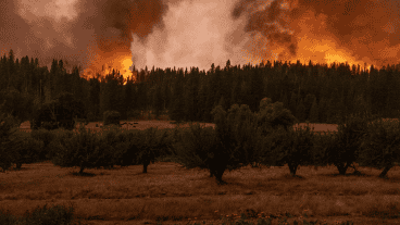 Más de 2.000 casas y establecimientos se quedaron sin electricidad por el avance del fuego.