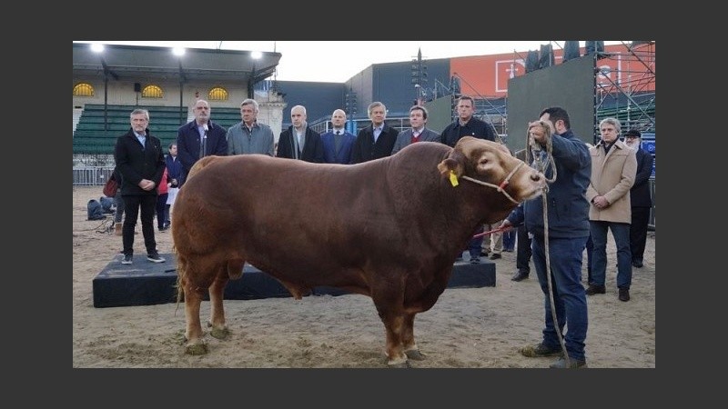 Una ausencia en la Rural de Palermo levantó debate. Pero no todo es lo que parece