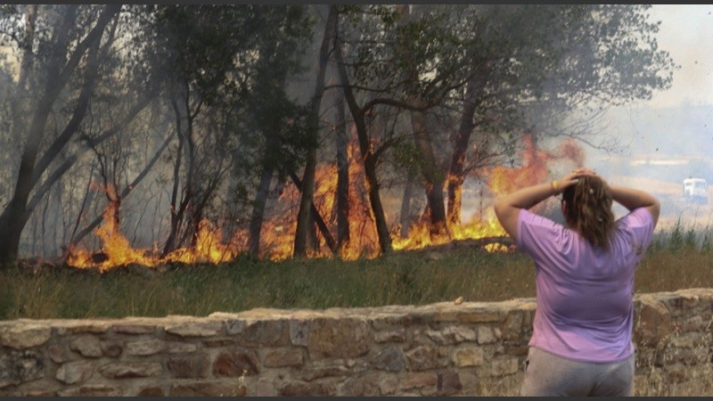 Estiman que el 96% de los incendios en España son causados por el hombre.