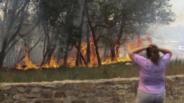 Estiman que el 96% de los incendios en España son causados por el hombre.