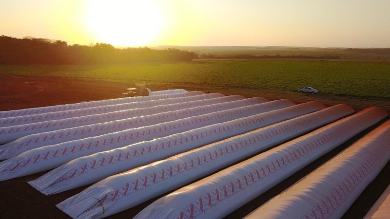 Las silobolsas comenzaron a utilizarse hace más de 20 años.