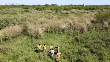 Una cuadrilla supervisa la realización de cortafuegos en las islas este año.