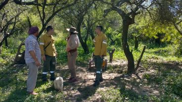 Una cuadrilla supervisa la realización de cortafuegos en las islas este año.