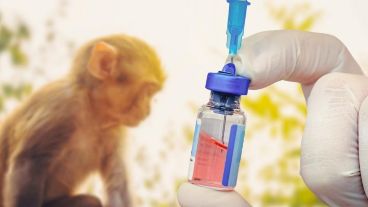 No existen tratamientos ni vacunas específicas para las infecciones por el virus de la viruela del mono.