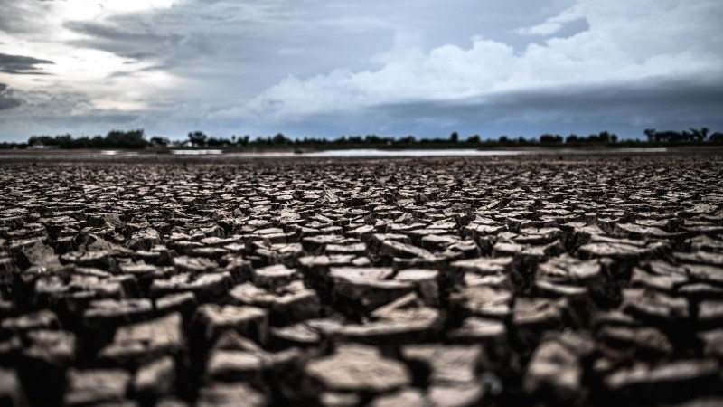Según WWF el mundo está en alerta por el insostenible ritmo de consumo.