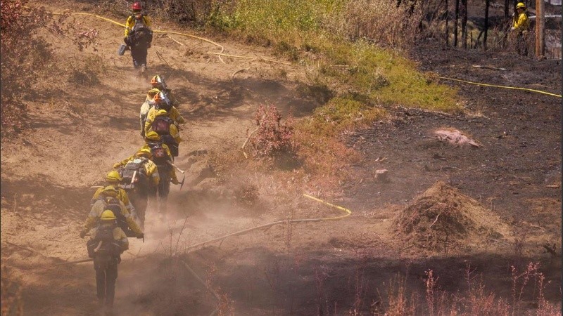 alifornia es uno de los estados más afectados por los incendios en los últimos años 