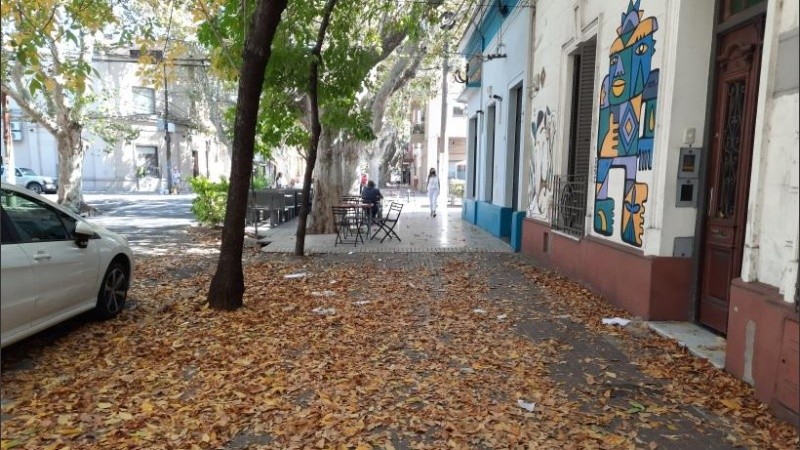 En las veredas más anchas, se podrán incorporar canteros extendidos con más vegetación.