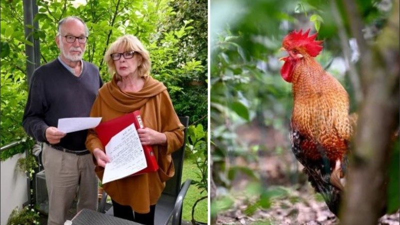 Otros vecinos decidieron mudarse.