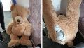 Fotos: policía encontró a un adolescente  buscado por robar escondido dentro de un oso de peluche gigante