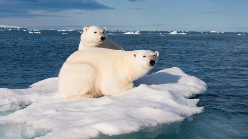 Julio también dejó el hielo marino antártico registrado como el más bajo de la historia.